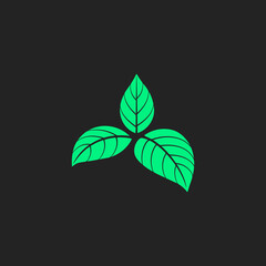  three green leaves on a black background