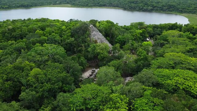 Detect language English Spanish French Spanish English Arabic
Ancient stone pyramid surrounded by dense green jungle and a calm lake in the background, part of archaeological site Coba, Mexico.