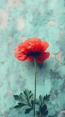 Photo of a poppy flower, with vibrant orange petals against a soft green background, symbolizing spring and the hope it brings