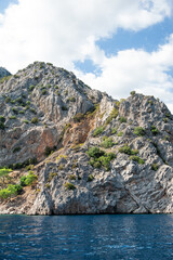 Breathtaking coastal landscape with turquoise waters and pine-covered mountains