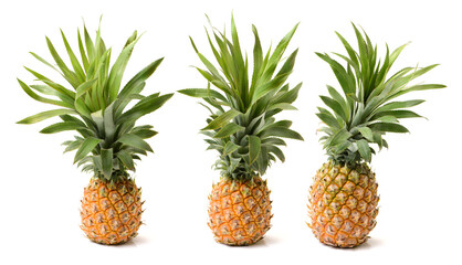 Pineapple on a white background