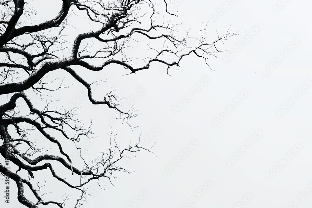 Poster A minimalist tree with bare branches, set against a soft gray gradient background