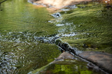 water flowing in the park