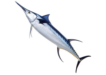 Fototapeta premium A Swordfish isolated on transparent or white background
