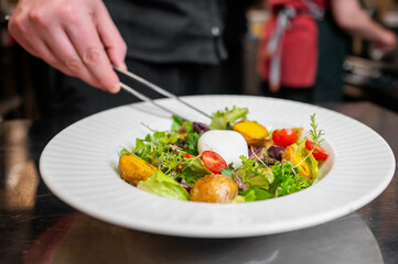 A chef delicately garnishes a fresh salad with colorful vegetables and a soft-boiled egg. The dish is presented on a stylish plate, showcasing vibrant colors and textures.