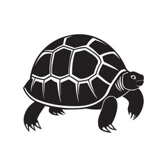 turtle silhouette vector, black and white silhouette, vector and illustration isolated on white background, black and white