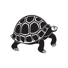 turtle silhouette vector, black and white silhouette, vector and illustration isolated on white background, black and white