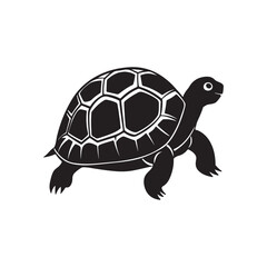 turtle silhouette vector, black and white silhouette, vector and illustration isolated on white background, black and white