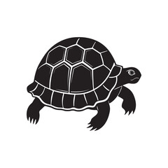 turtle silhouette vector, black and white silhouette, vector and illustration isolated on white background, black and white