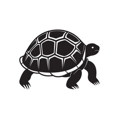 turtle silhouette vector, black and white silhouette, vector and illustration isolated on white background, black and white