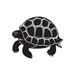 turtle silhouette vector, black and white silhouette, vector and illustration isolated on white background, black and white