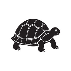turtle silhouette vector, black and white silhouette, vector and illustration isolated on white background, black and white