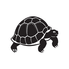turtle silhouette vector, black and white silhouette, vector and illustration isolated on white background, black and white