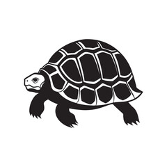 turtle silhouette vector, black and white silhouette, vector and illustration isolated on white background, black and white