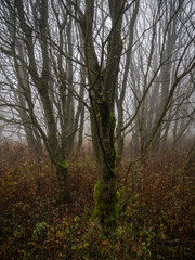 standing side by side  - Seite an Seite