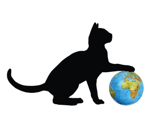 The silhouette of cat playing with globe.
