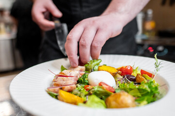 A chef carefully plating a colorful salad with fresh vegetables, sliced chicken, and a soft-boiled egg. A vibrant dish showcasing culinary skill and attention to detail