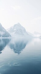 Naklejka premium White Horse in a Field at Sunset with a Black Cat Nearby, Perfect for Animal Lovers and Nature Enthusiasts Generative AI