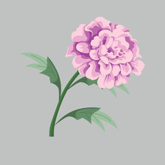 Elegant Pink Flower Illustration - Botanical Art Design