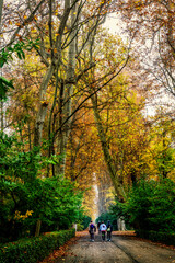 Walking on Prince Gardens of Aranjuez