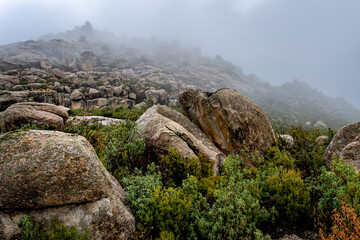 Niebla en la Torre de Valdemanco