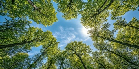 Fototapeta premium Majestic trees rise against a vibrant blue sky, showcasing the beauty of trees in nature, creating a stunning contrast that highlights the serene presence of trees under the bright sky.