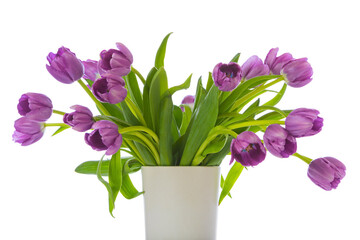 Purple tulips in a vase isolated on white
