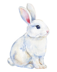 Cute festive Bunny, white rabbit on an isolated background. Hand-painted baby animals watercolor illustration for design