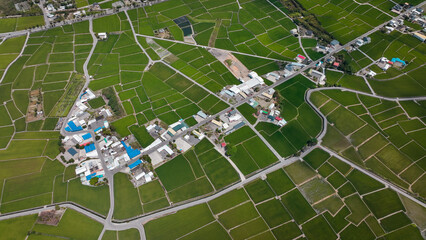 Aerial view of Yuli Taiwan showcasing vibrant green fields and small village in daytime