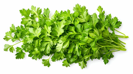 Obraz premium Fresh Green Parsley Sprigs Arranged in a Cluster, Isolated on a White Background, Displaying Delicate Leaves and Stems