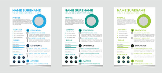 Professional Resume CV Template  design Layout