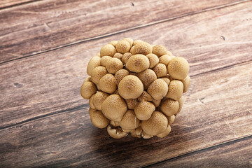 Raw asiam delicacy mushroom Shimeji