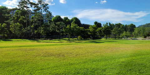 Beautiful Garden in Gyeongbokgung Palace, with blue sky on a sunny day, in Seoul, Korea	
