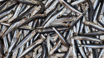 Fish sprats at the fish market. Fresh organic fish.