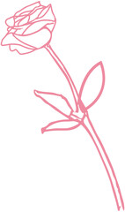 Rose one line icon