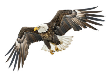 Impressive Eagle Gliding Over Scenic Landscapes Isolated on Transparent Background