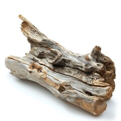 Driftwood piece isolated on white background.
