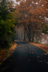 Naklejka premium Kastoria lake Greece