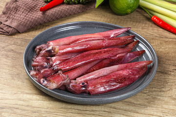 Raw fresh squids for cooking