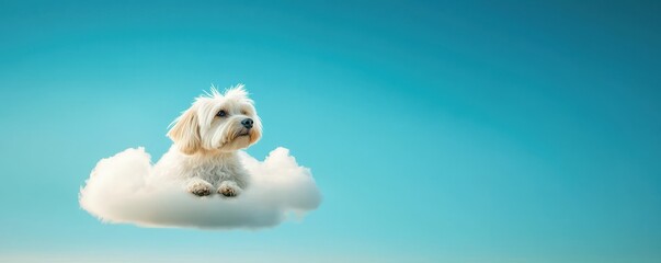A fluffy white dog sits peacefully on a cloud against a bright blue sky, exuding a sense of tranquility and whimsy.