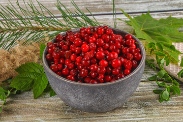 Natural organic wild forwst lingonberry