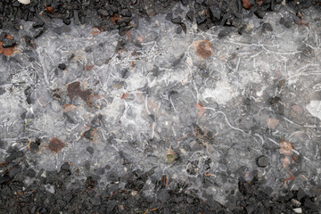 frozen puddle with tree leaves on ground