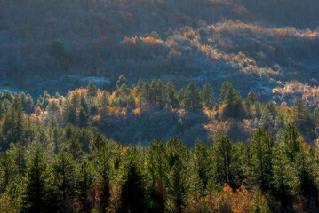 autumn in the mountains