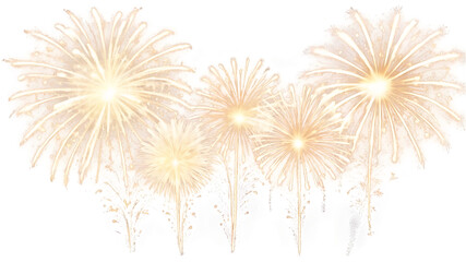 sparkling fireworks, detailed fireworks, white fireworks, gold fireworks, transparent PNG, festive illustration, celebratory fireworks, bright fireworks, festive lights, fireworks in the sky.