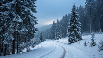 Snowy Forest Road with Tall Trees in Serene Winter Landscape