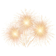 Obraz premium sparkling fireworks, detailed fireworks, white fireworks, gold fireworks, transparent PNG, festive illustration, celebratory fireworks, bright fireworks, festive lights, fireworks in the sky.