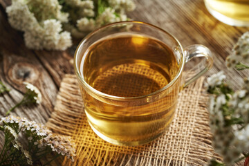 Herbal tea in a glass cup with fresh yarrow or Achillea millefolium flowers