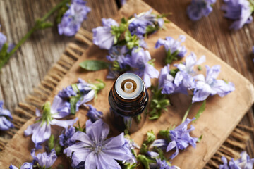 A brown bottle of herbal tincture with blue chicory flowers