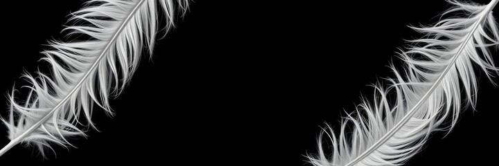 Obraz premium Close up of white feather on black and white background with square frame, generative AI, border, white