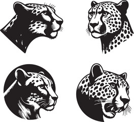 Cheetah Head Drawing in Vector Style